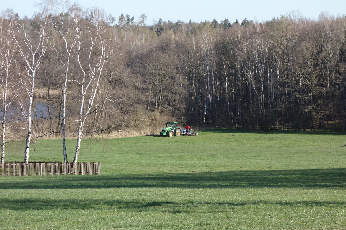 DSC04625.jpg