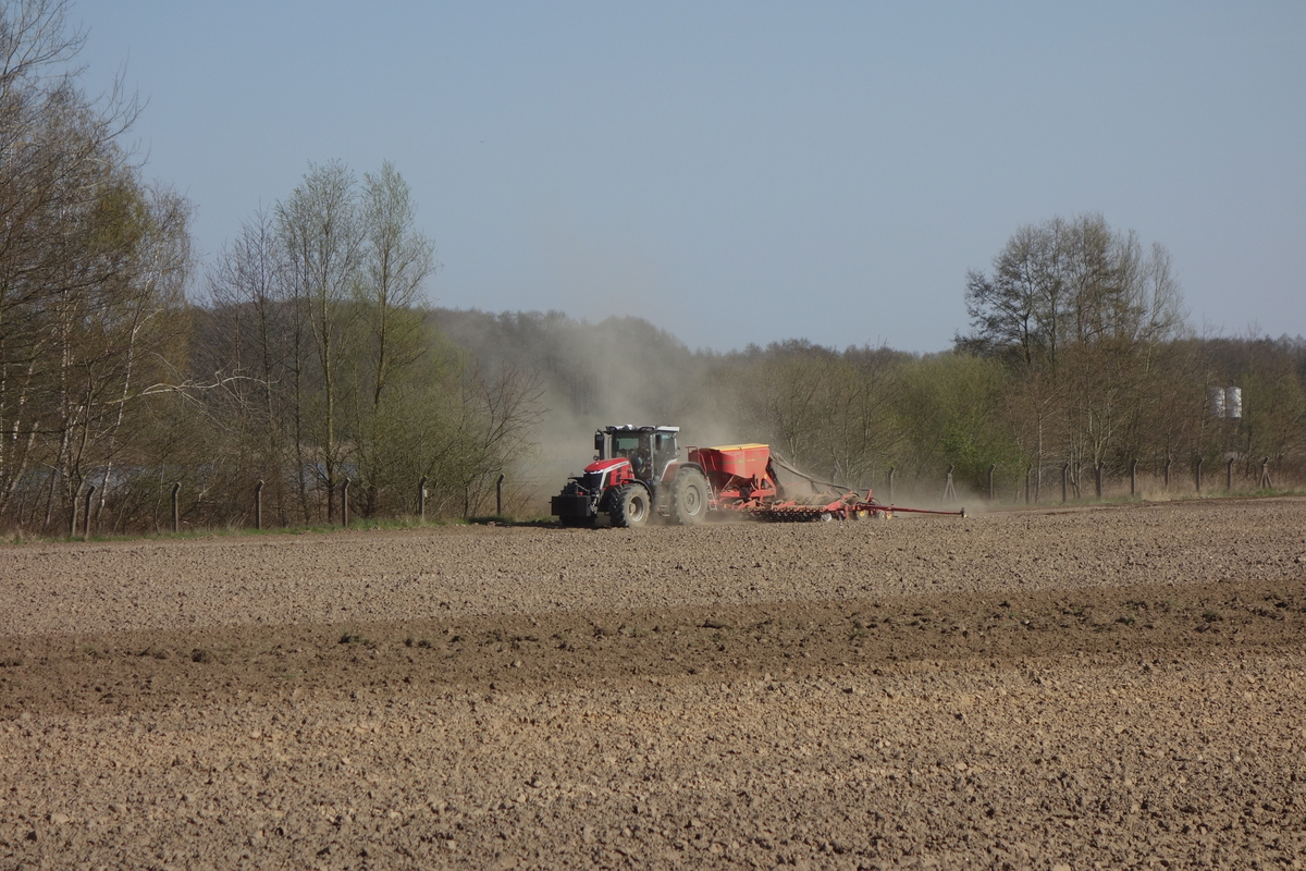 bilder/17_5_2004/jaguar_fendt_7.jpg