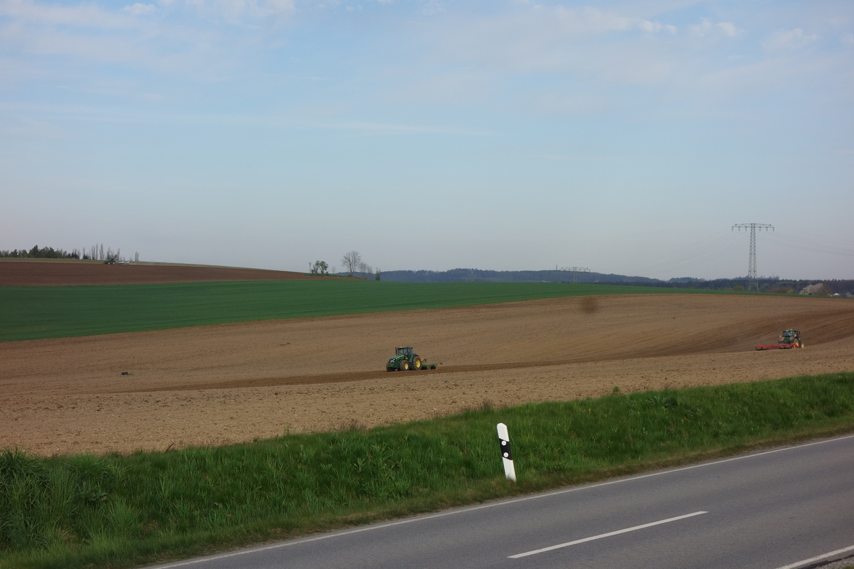 DSC04705.jpg