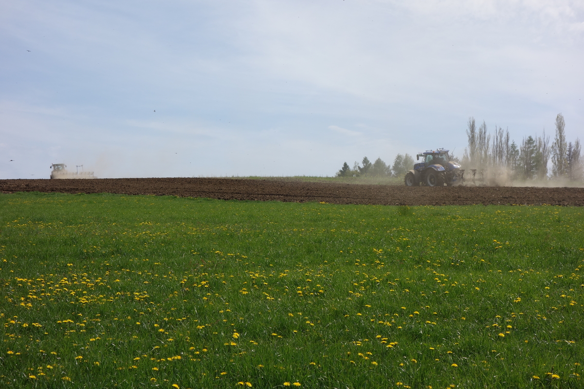 DSC04763.jpg