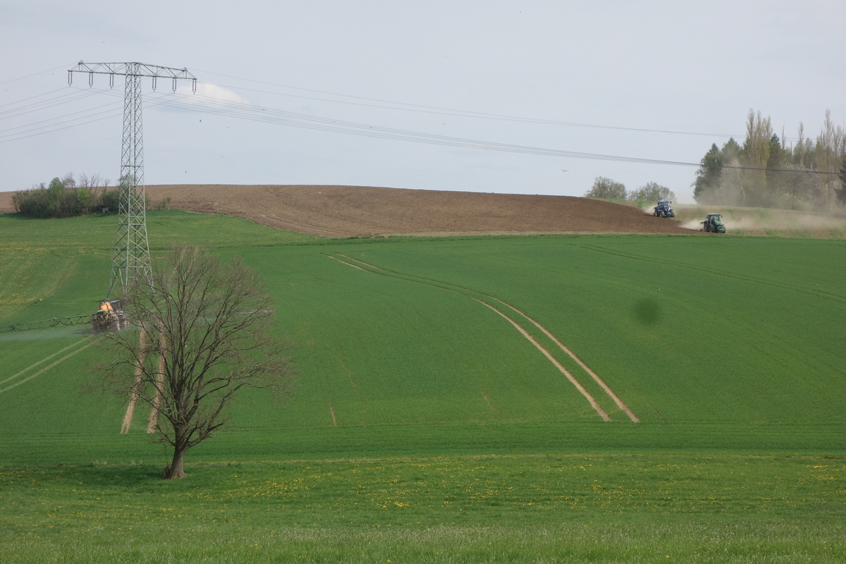 DSC04764.jpg