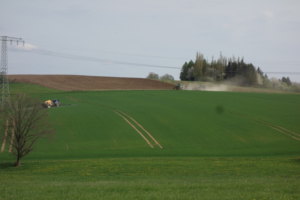 DSC04766.jpg