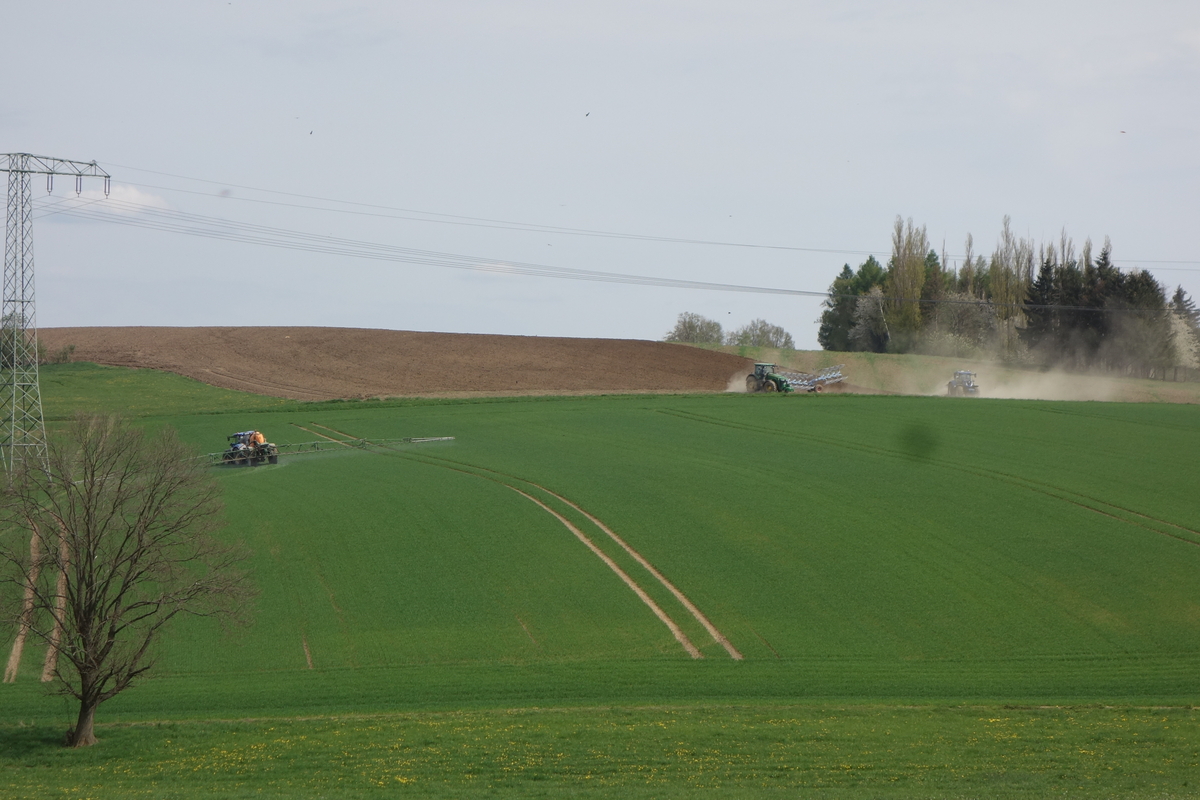 DSC04767.jpg