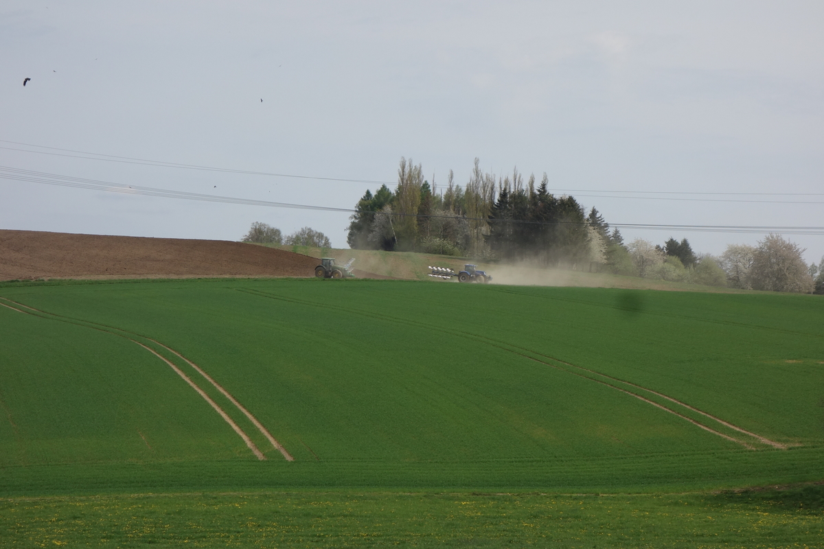 DSC04768.jpg