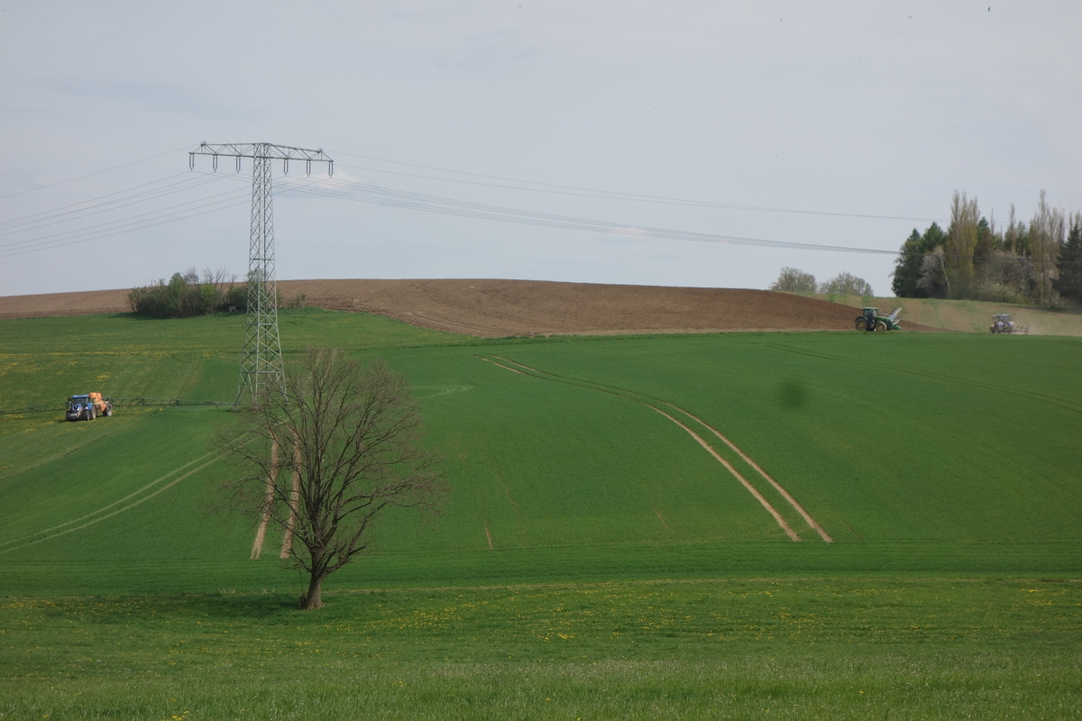 DSC04769.jpg