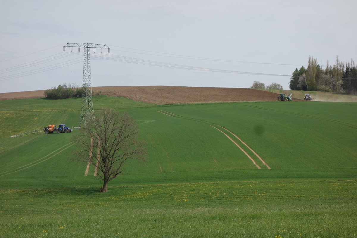 DSC04770.jpg