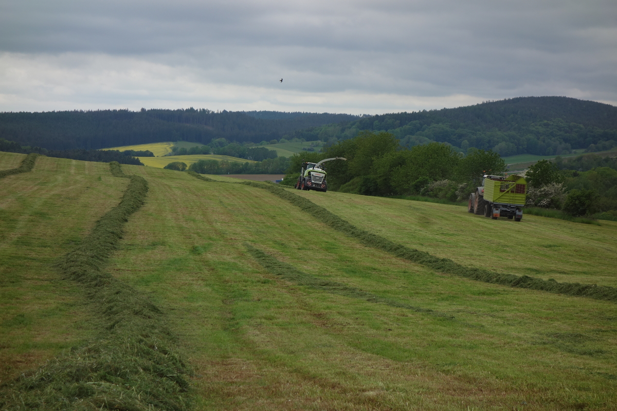 DSC04825.jpg