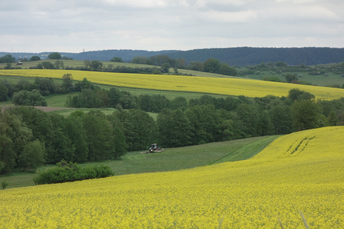 DSC04854.jpg