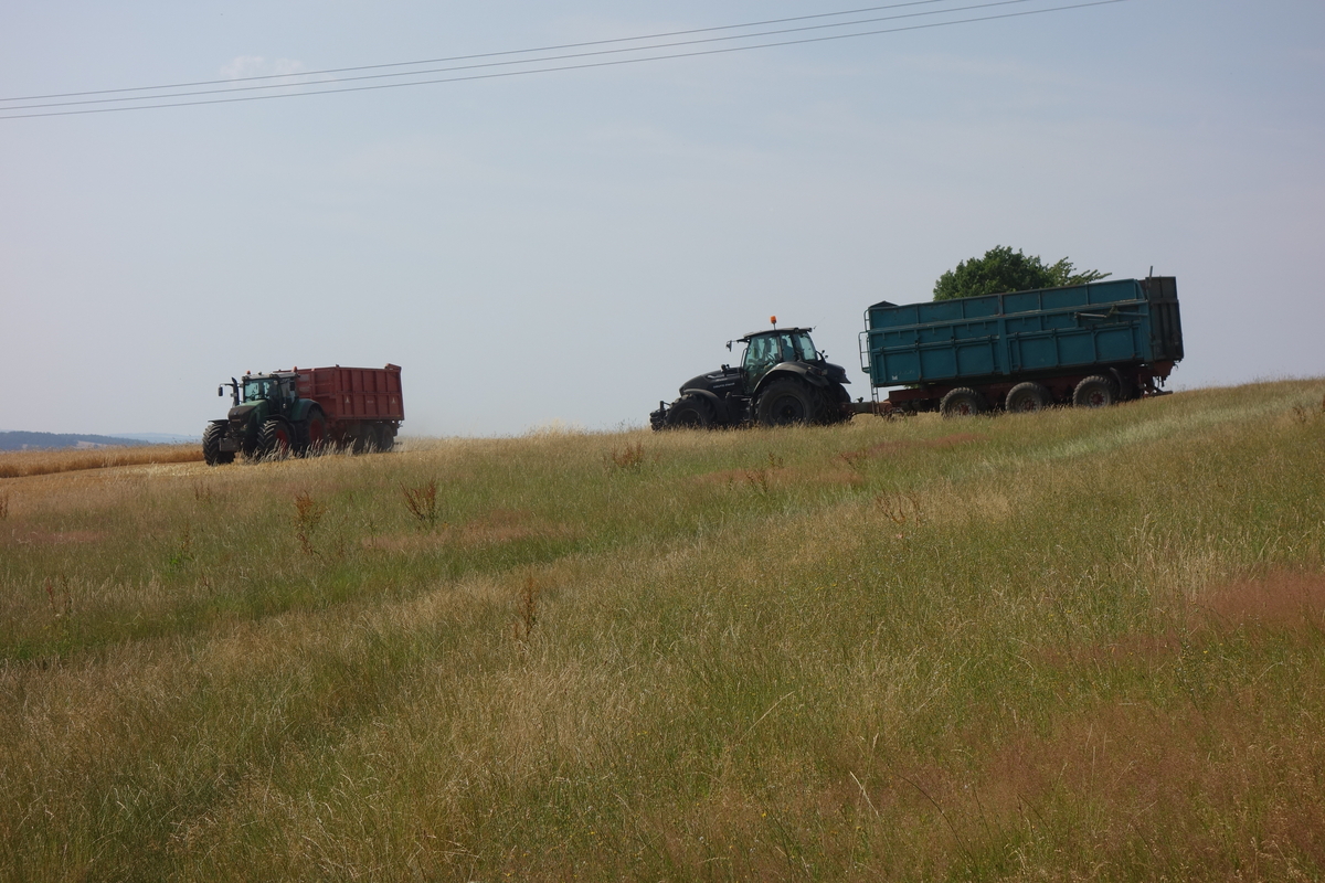 DSC04983.jpg