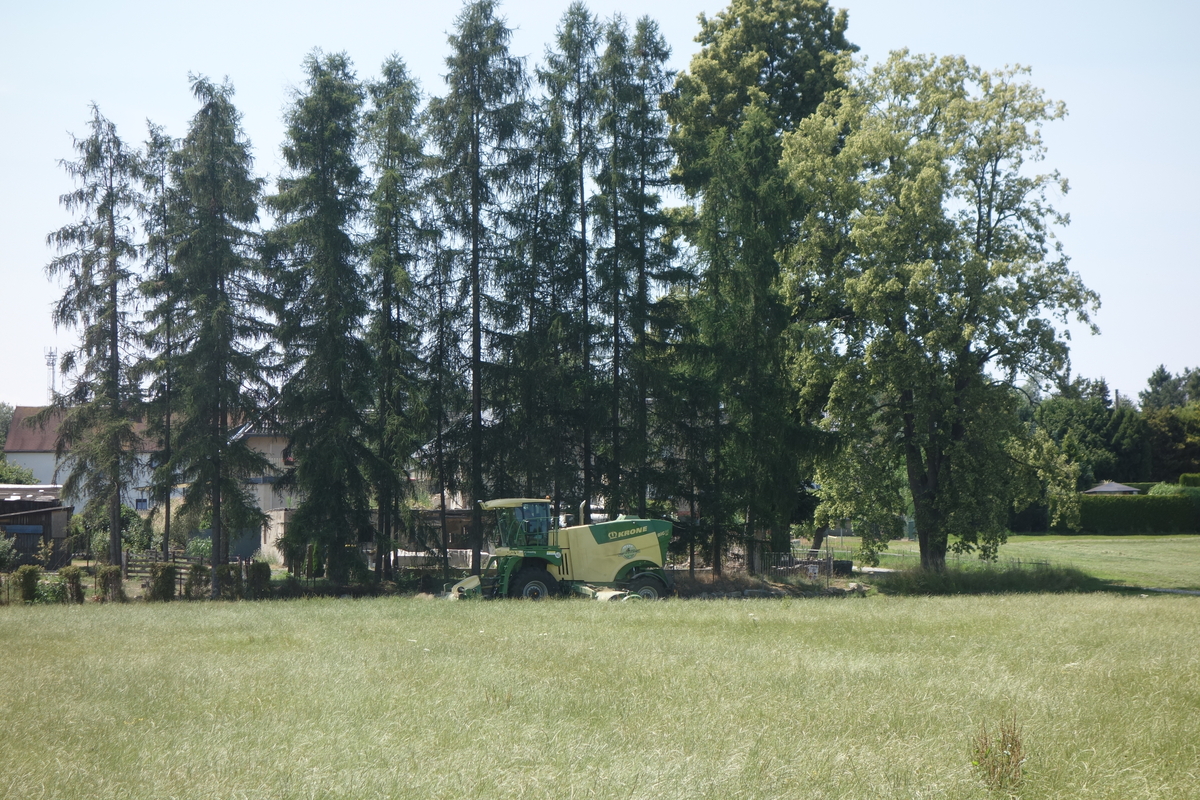 DSC04875.jpg