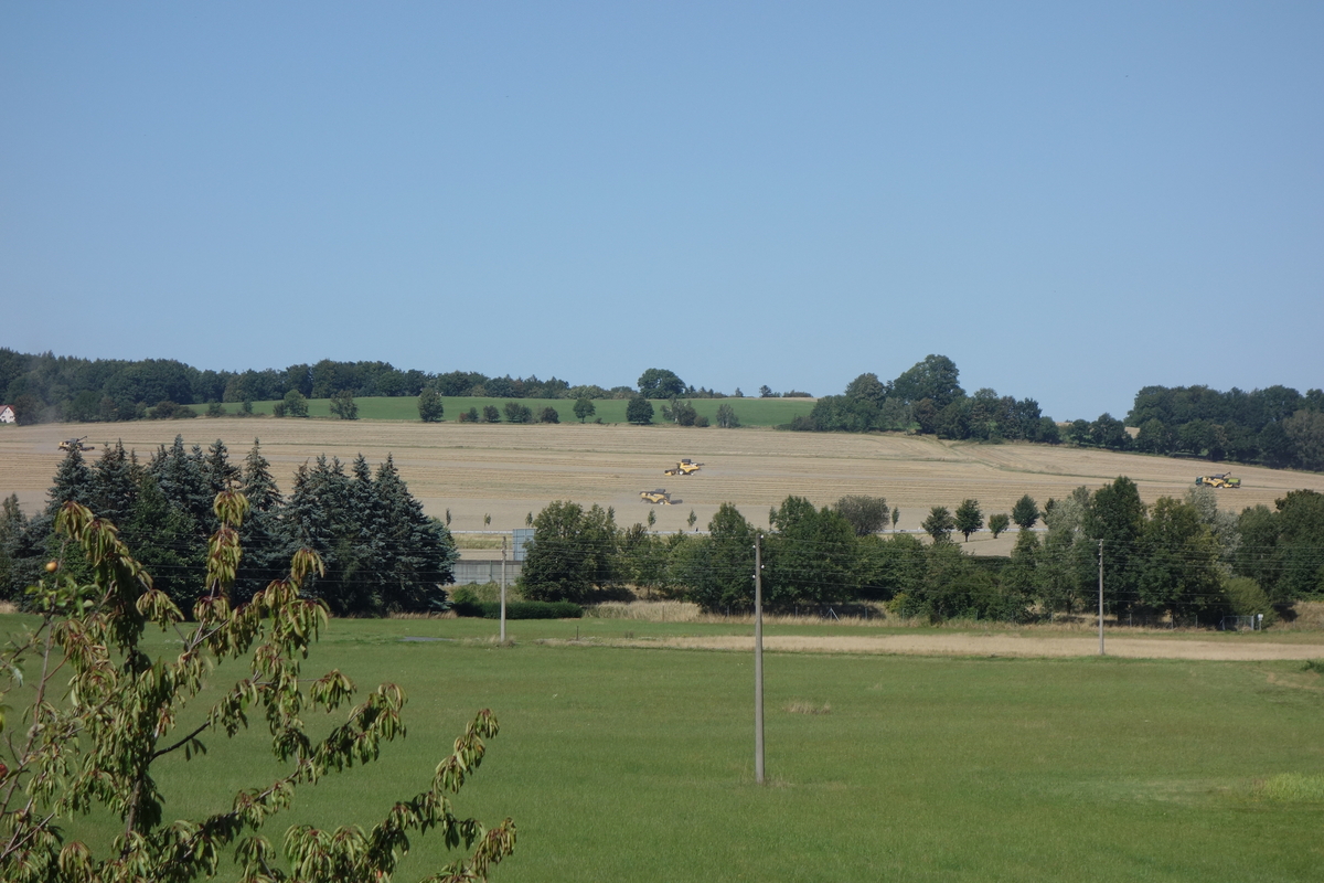 DSC05360.jpg