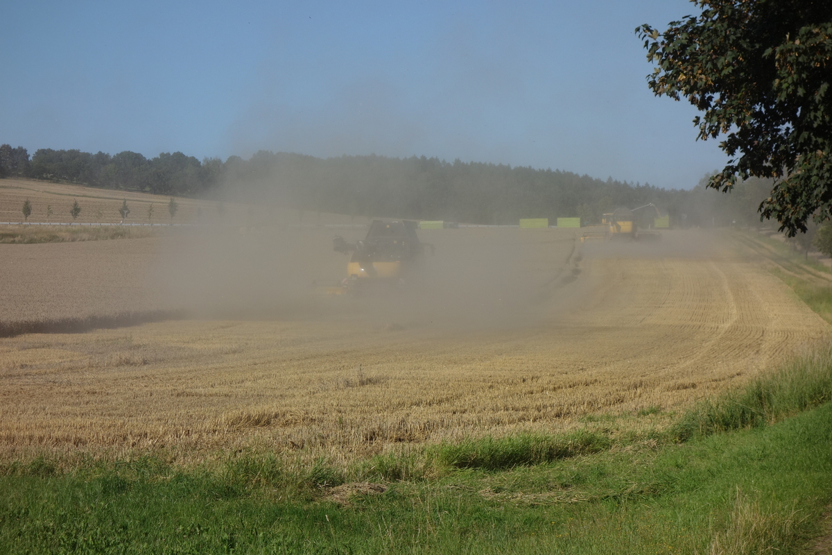 DSC05414.jpg