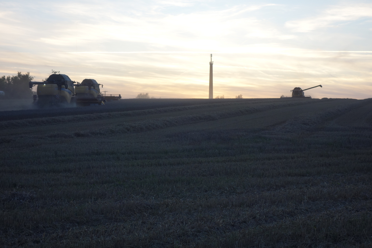 DSC05591.jpg