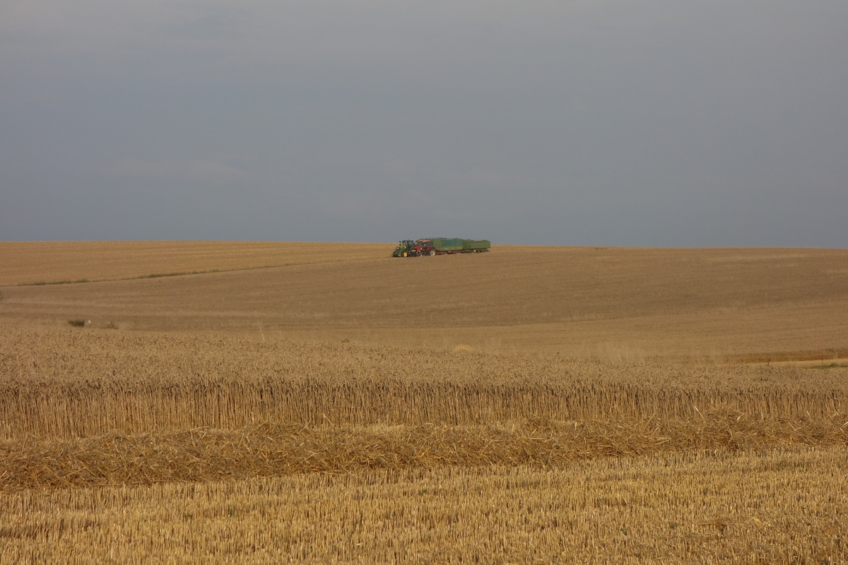 DSC05838.jpg