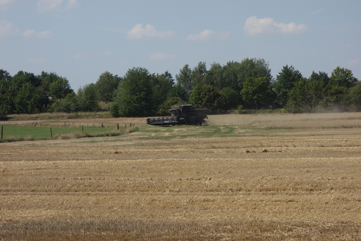 DSC05982.jpg