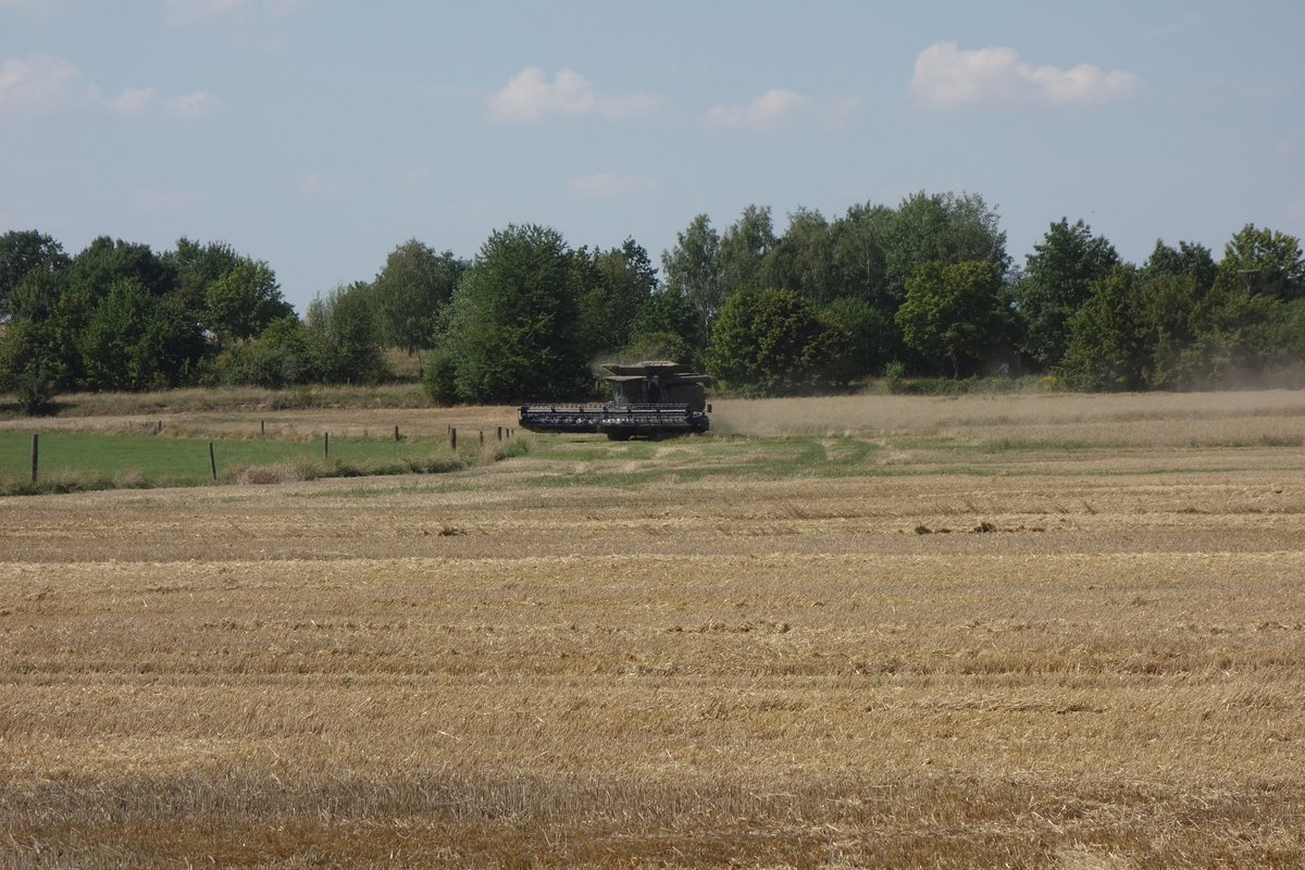 DSC05983.jpg