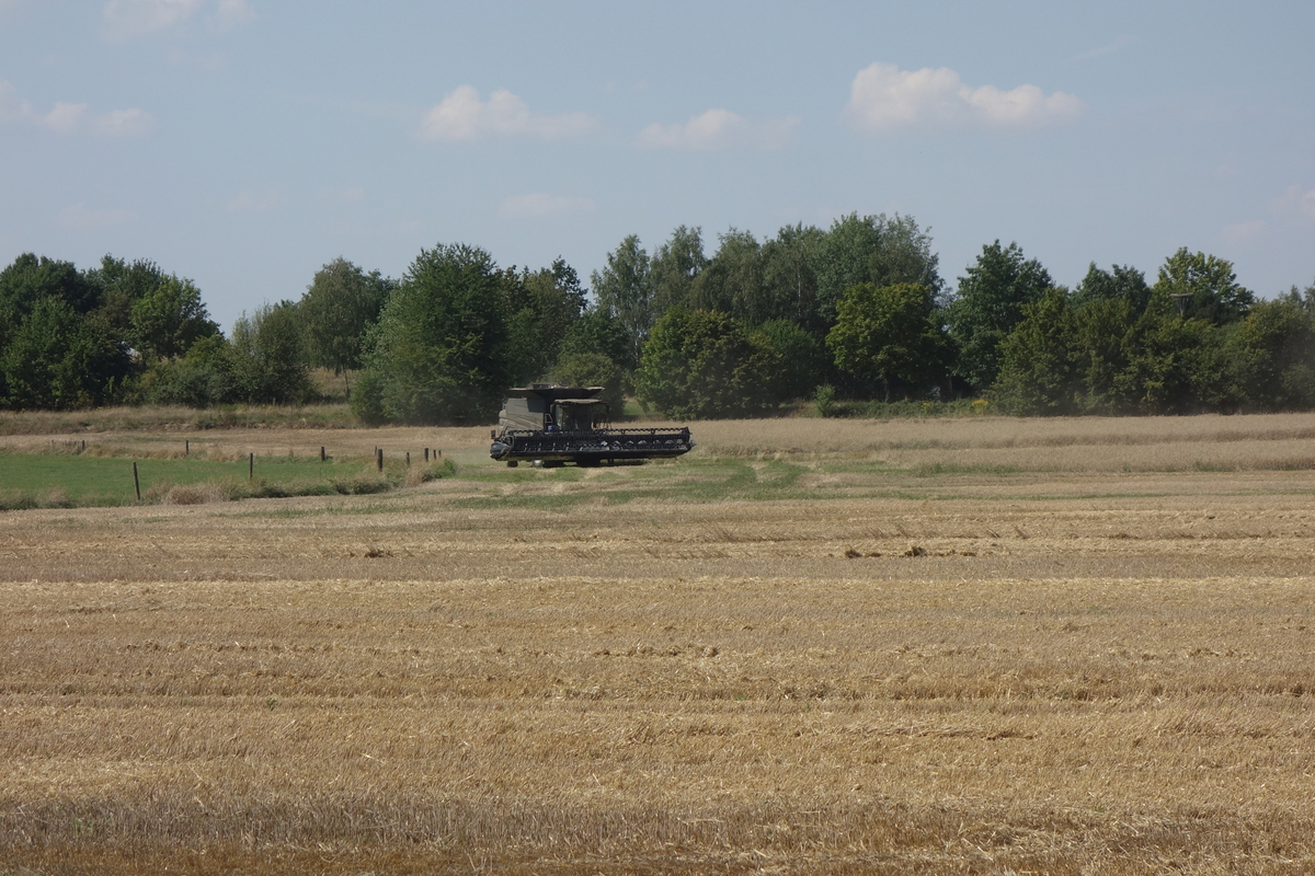 DSC05984.jpg