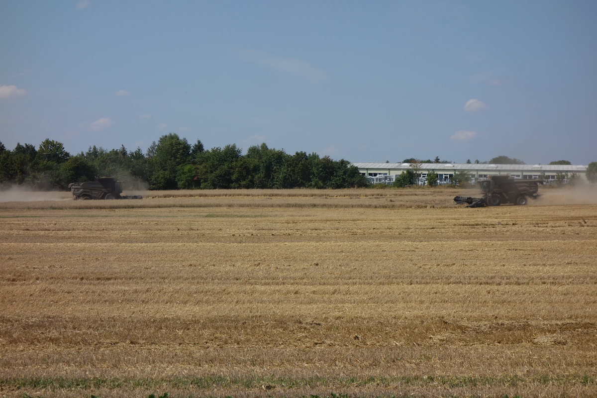 DSC05986.jpg