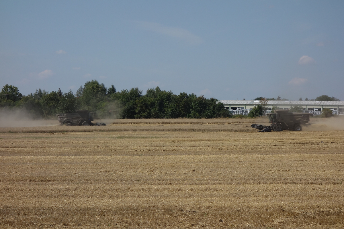 DSC05987.jpg
