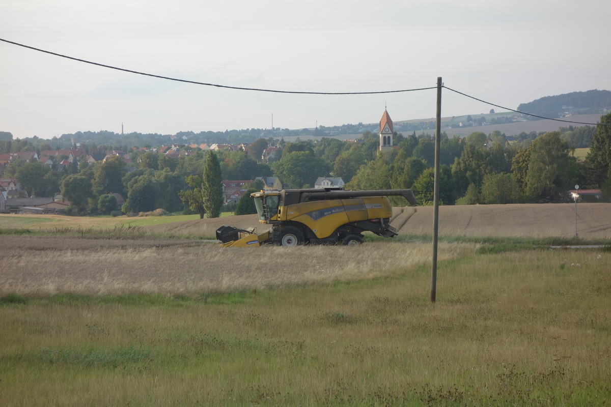 DSC06086.jpg