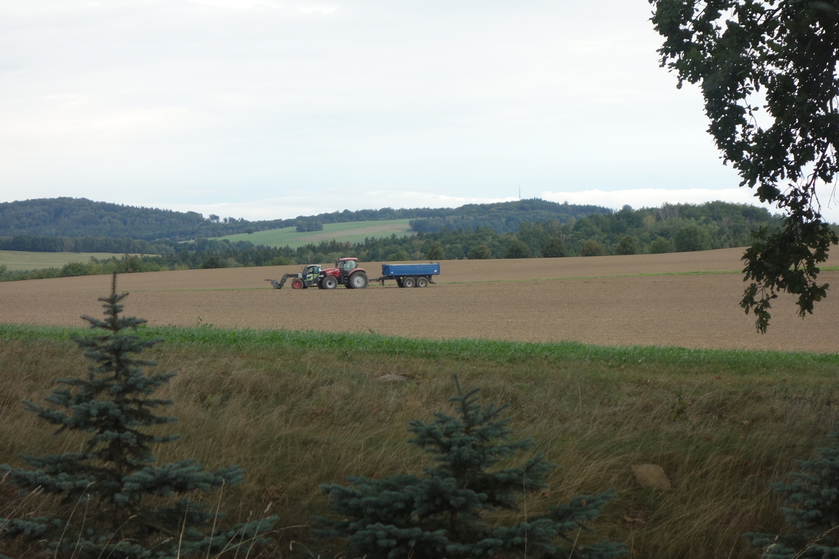 DSC06285.jpg