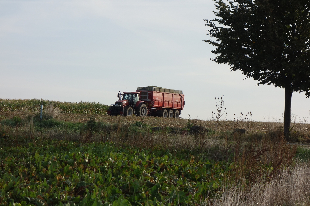 DSC06448.jpg