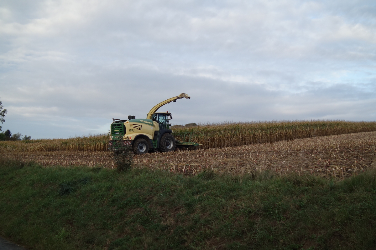 bilder/31_5_2003/fendt_514.jpg