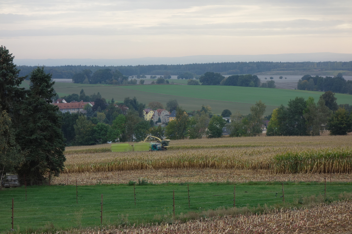 DSC06593.jpg