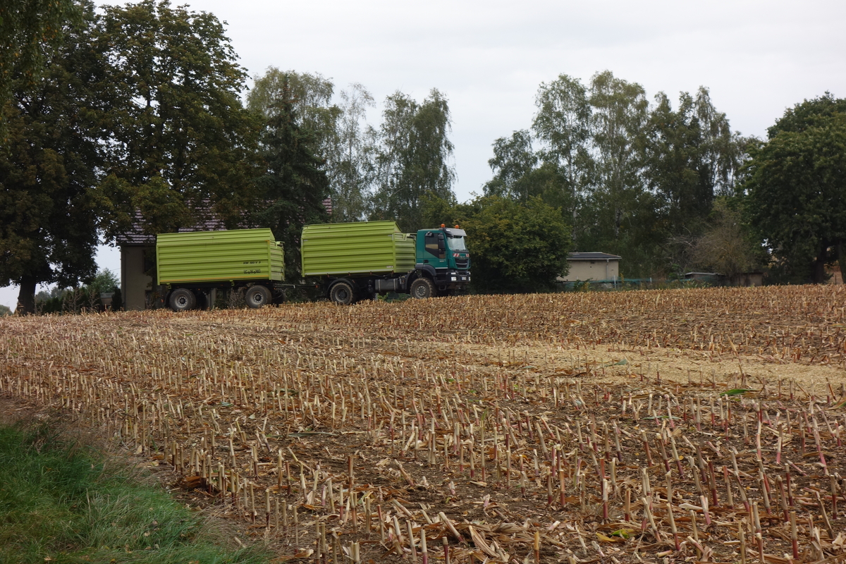 bilder/25_7_2001/lexion_6.jpg