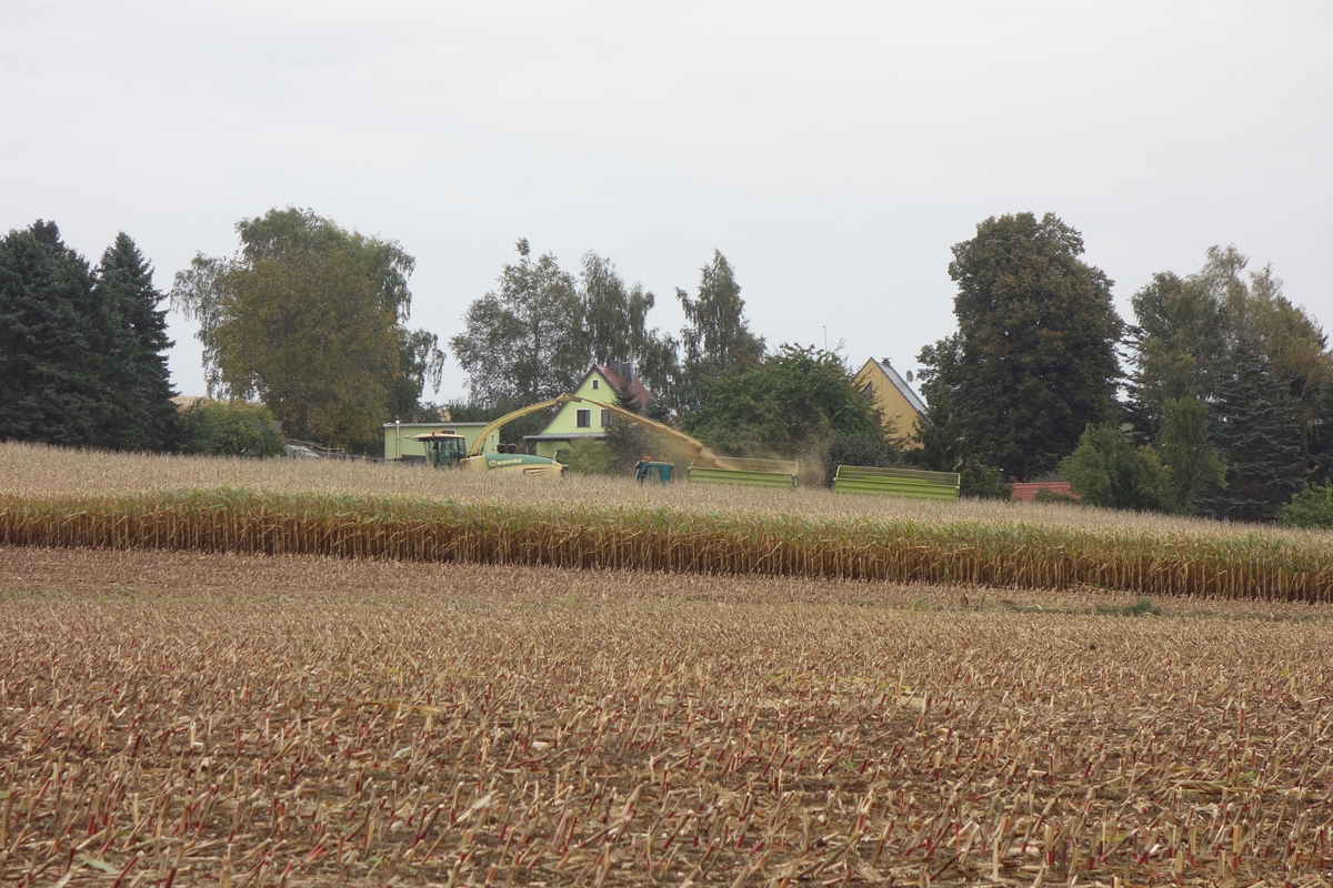 DSC06645.jpg