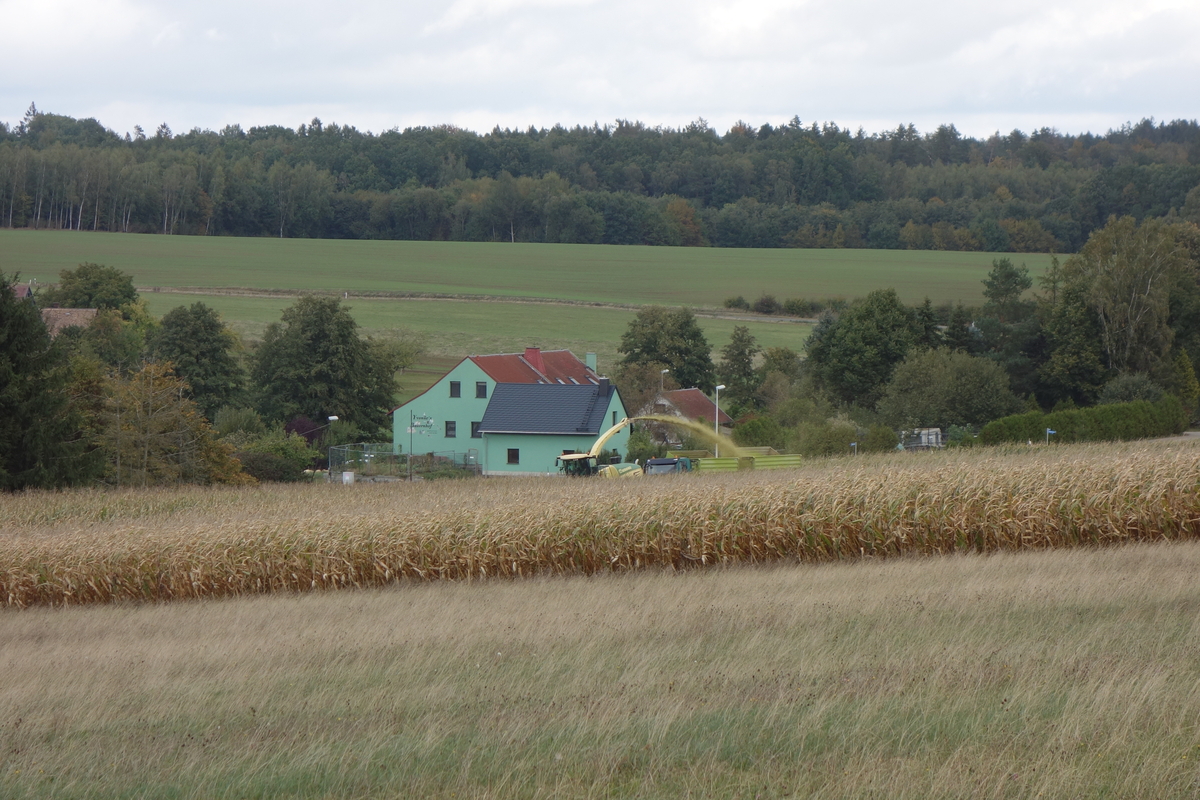 DSC06769.jpg