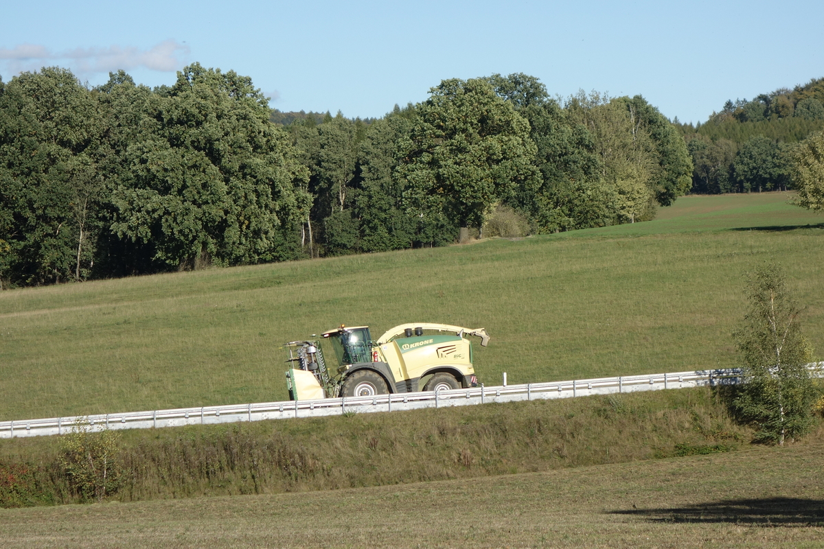 DSC07084.jpg