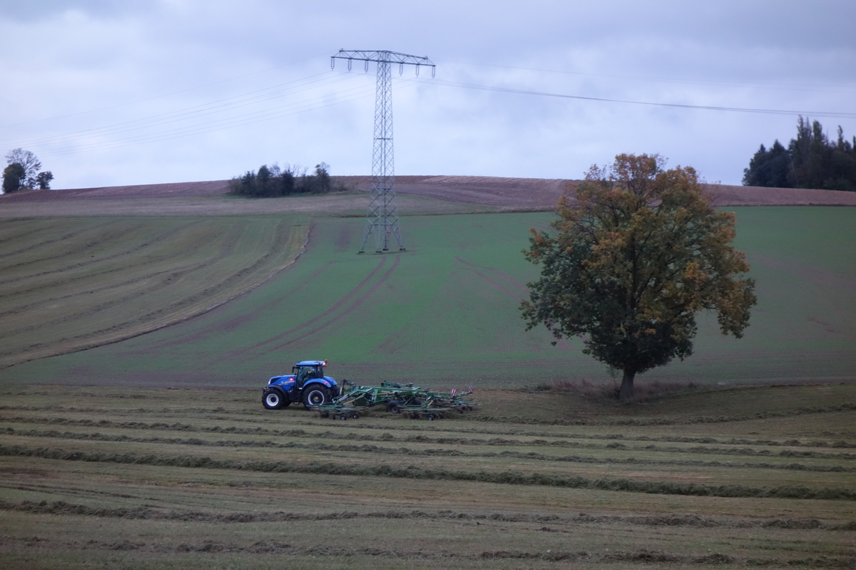 DSC07125.jpg