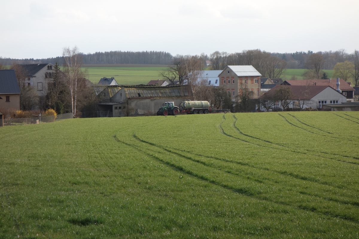 DSC07302.jpg