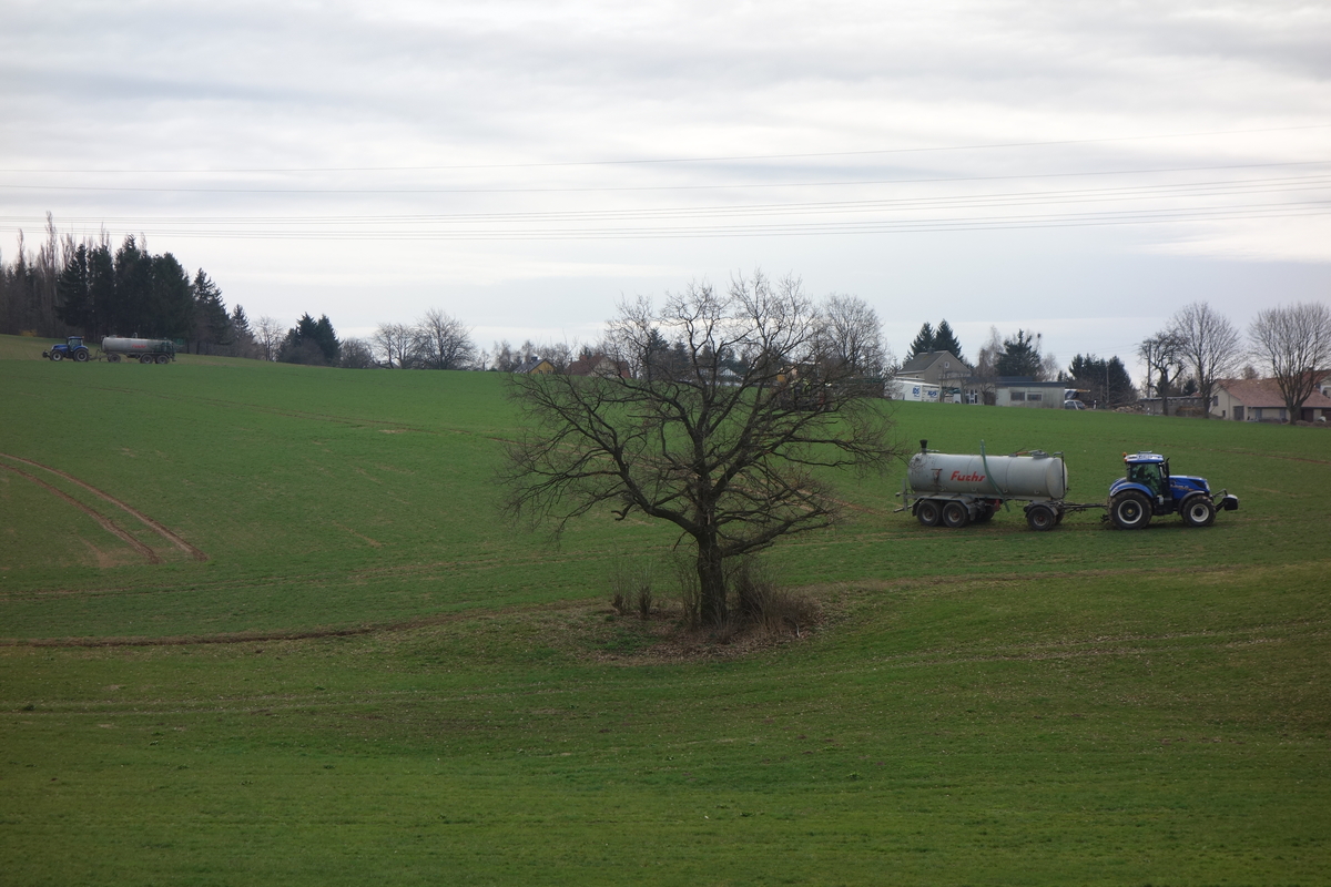 DSC07311.jpg