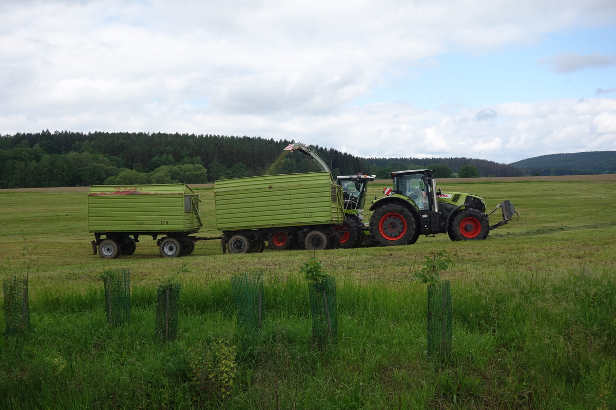 bilder/13_1_2014/CIMG0992.jpg
