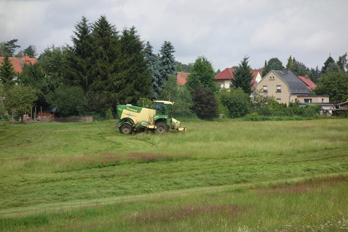 bilder/2024_07_01/DSC07577.jpg