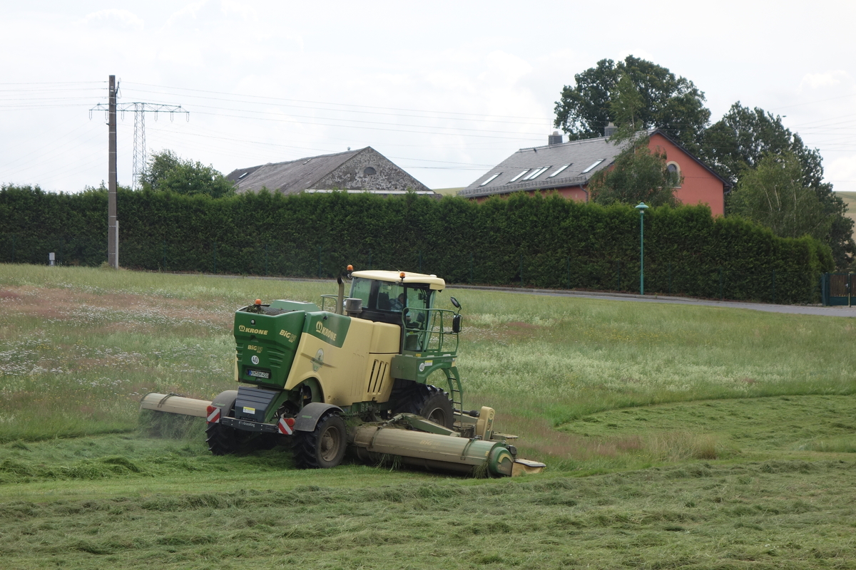 bilder/5_5_2013/CIMG7235.jpg