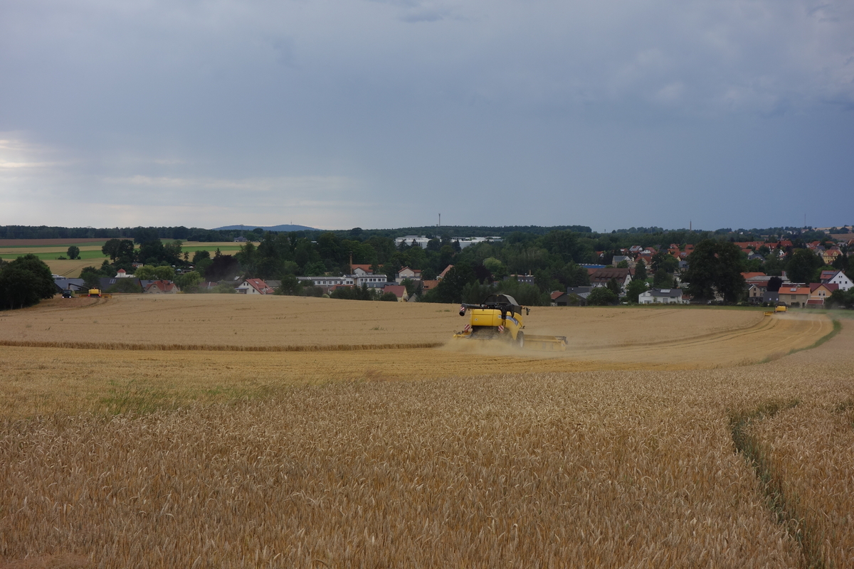 DSC07826.jpg