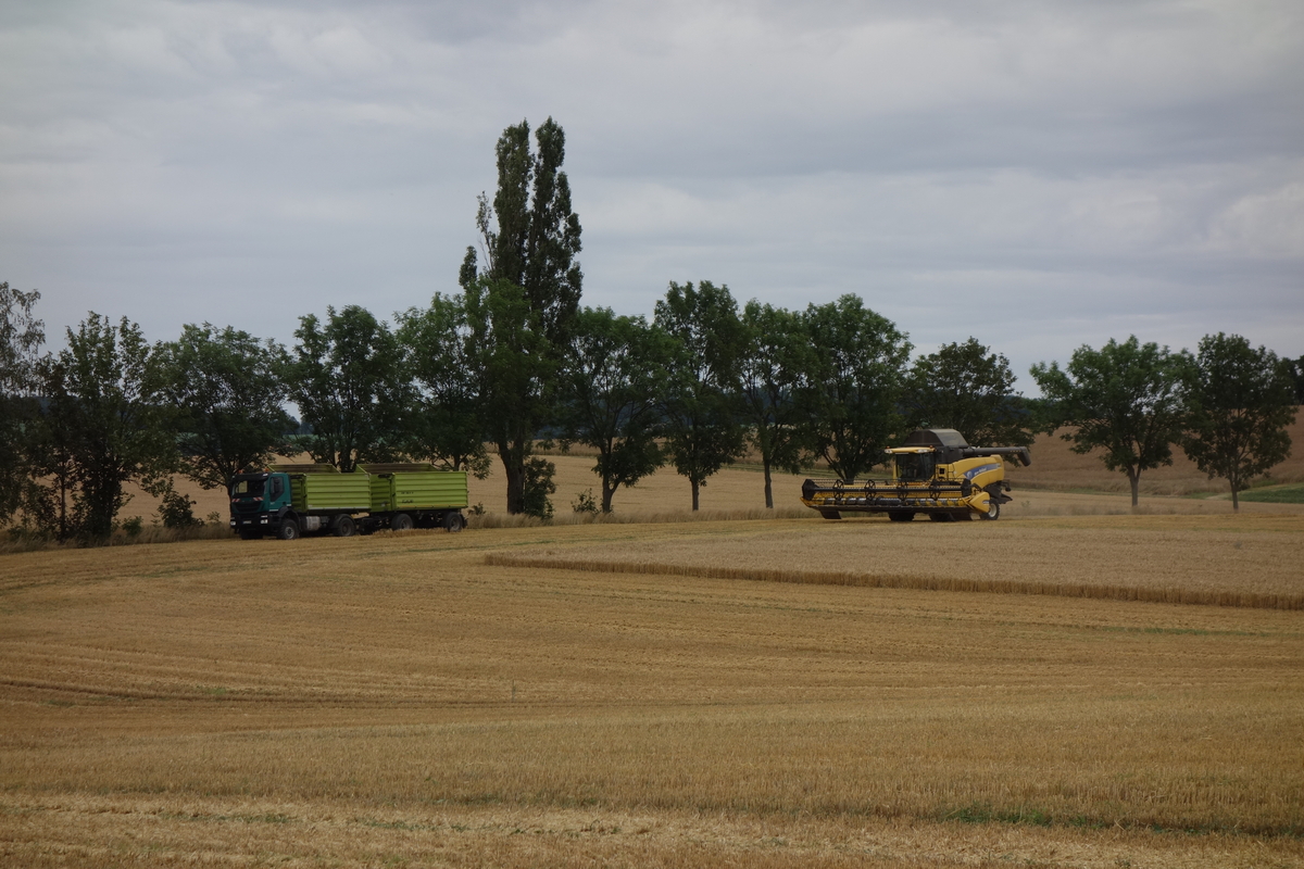 DSC07848.jpg