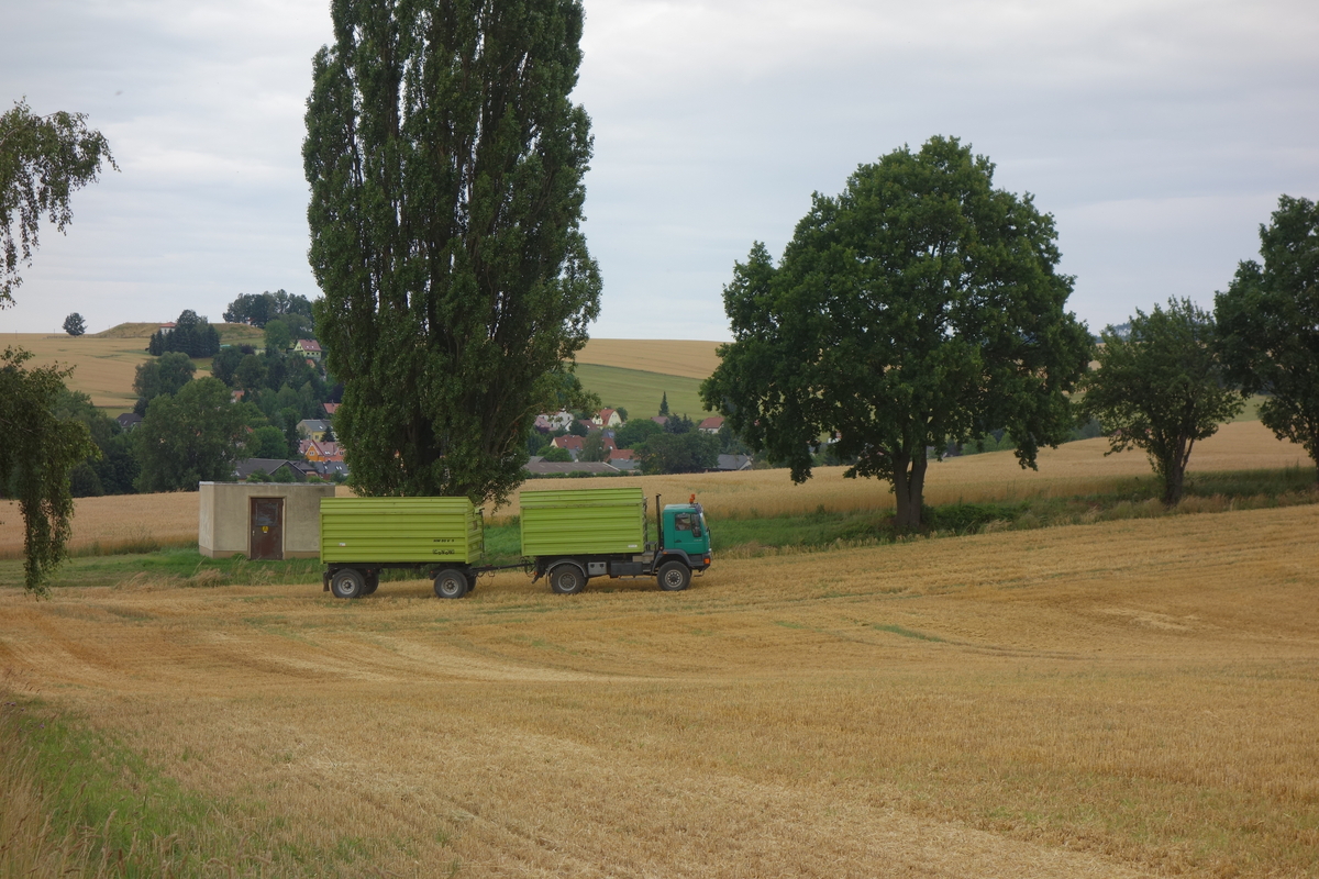 DSC07855.jpg