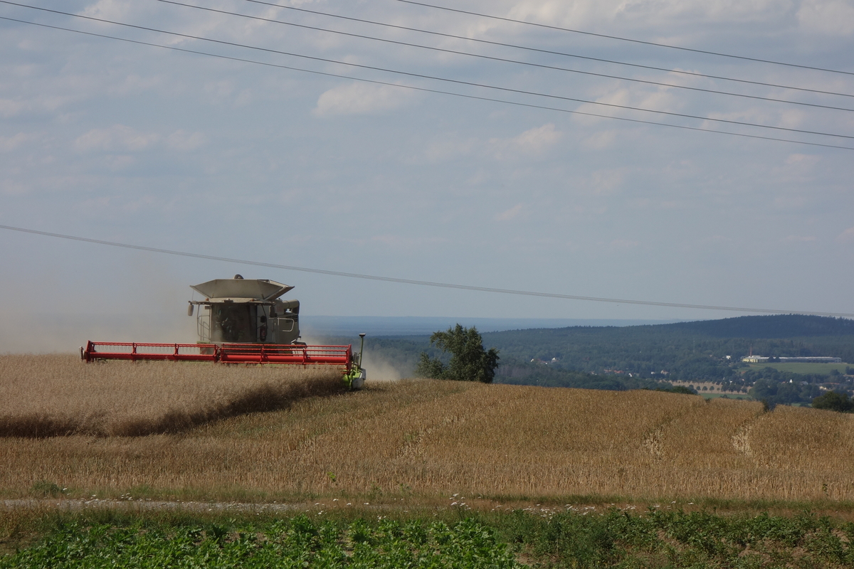 DSC08336.jpg