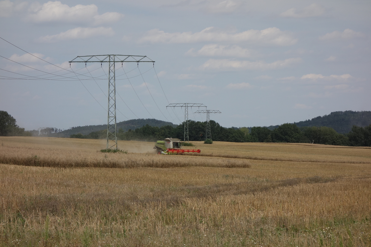 DSC08435.jpg
