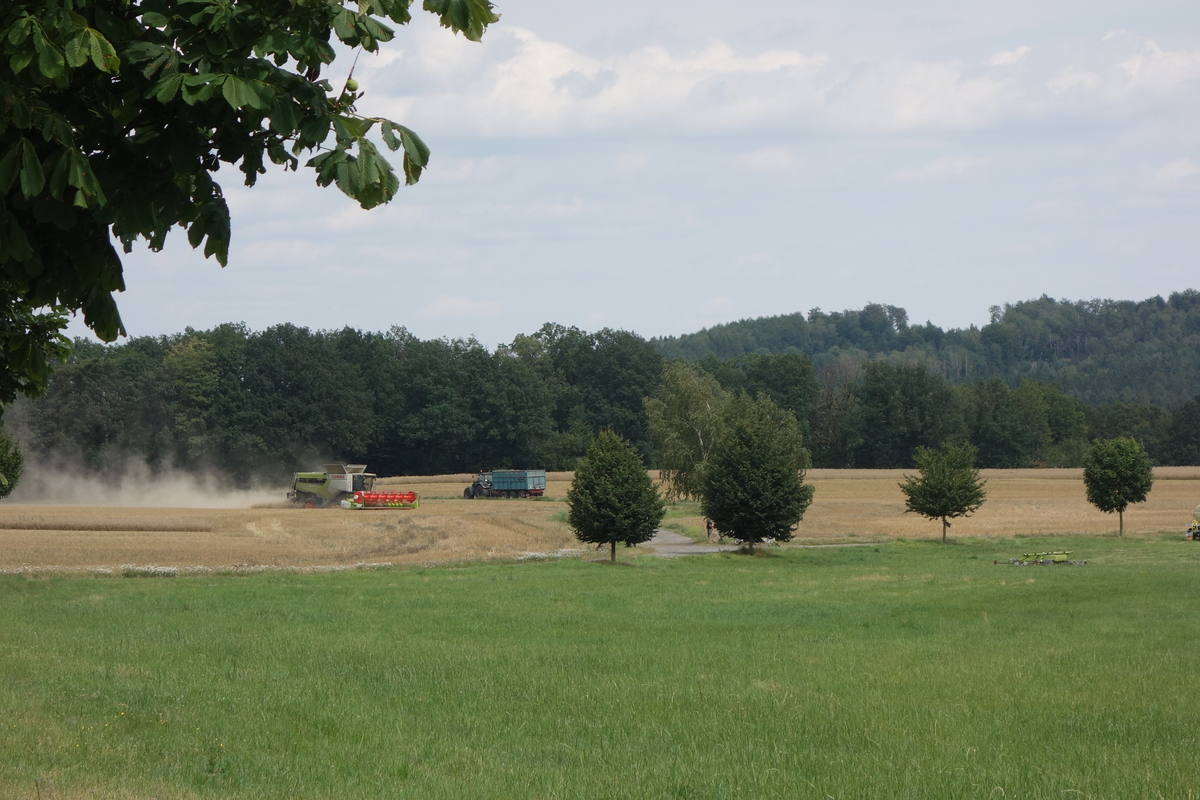 DSC08451.jpg