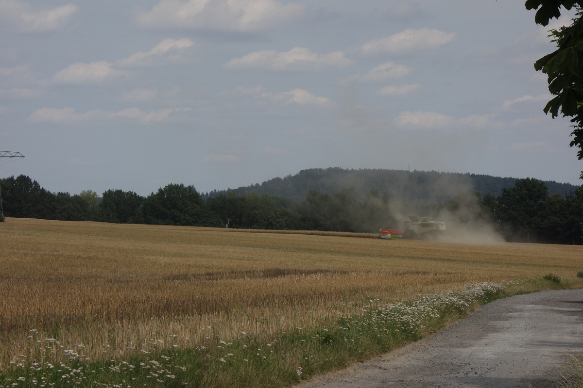 DSC08456.jpg
