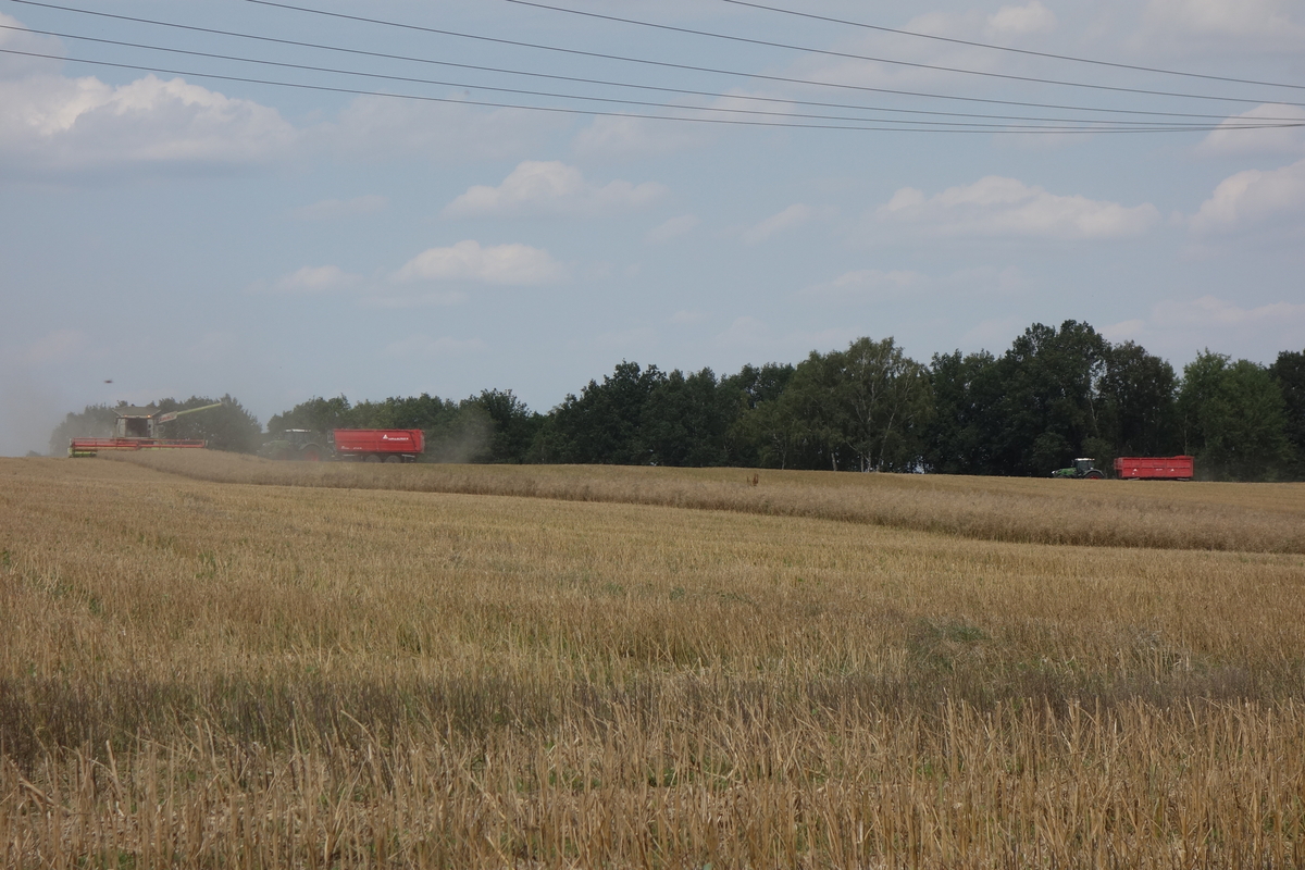 DSC08479.jpg