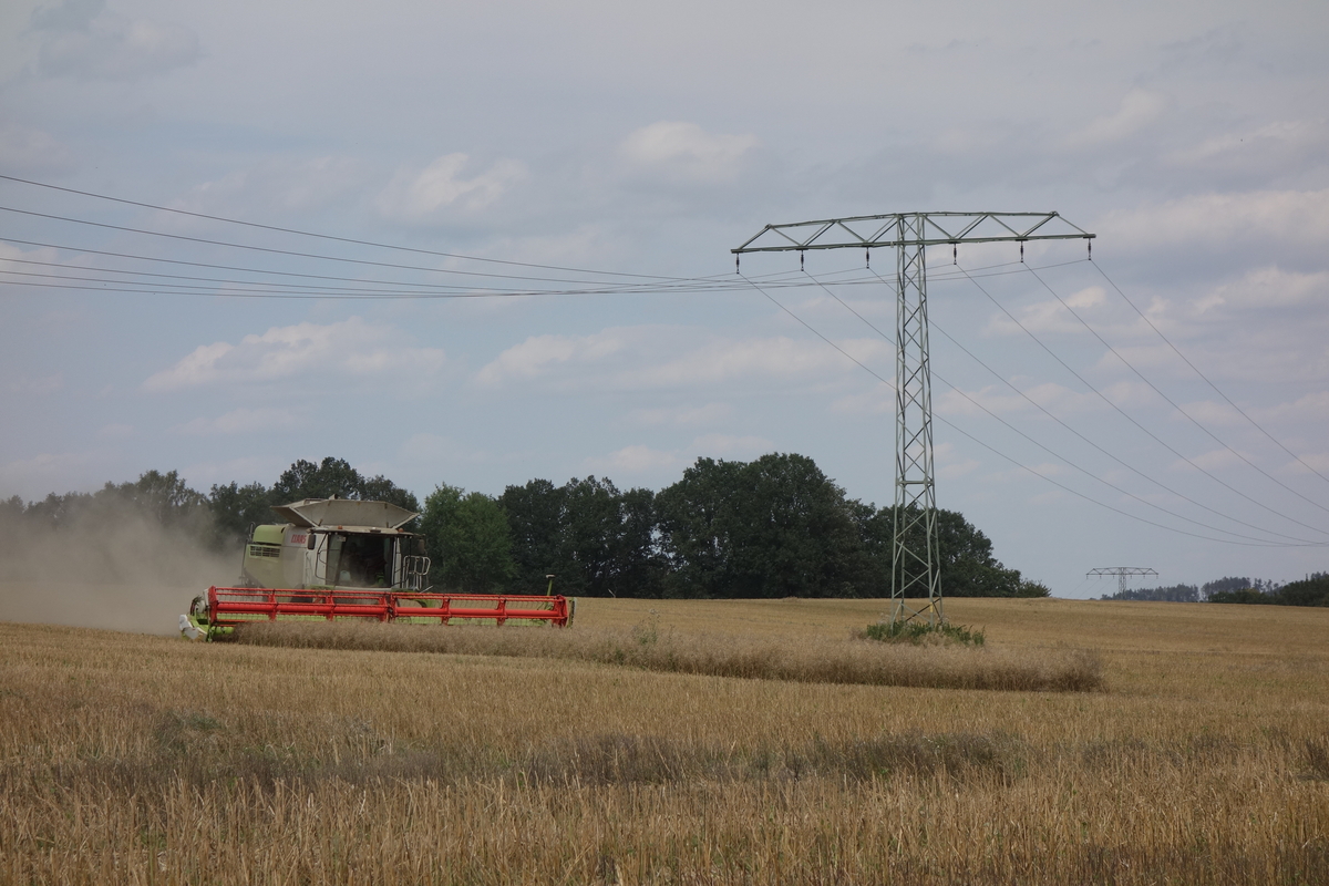 DSC08489.jpg