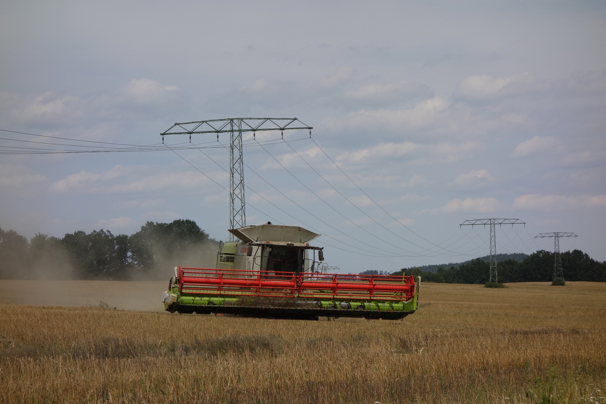 DSC08494.jpg
