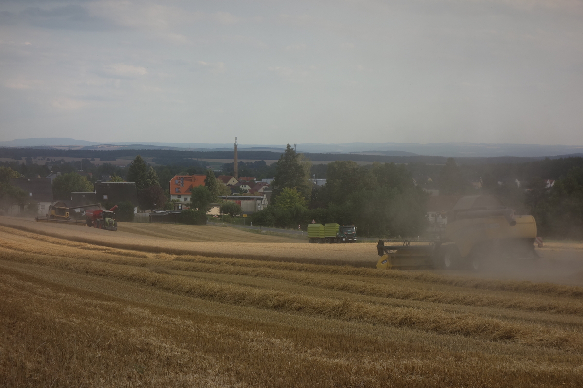 DSC08517.jpg