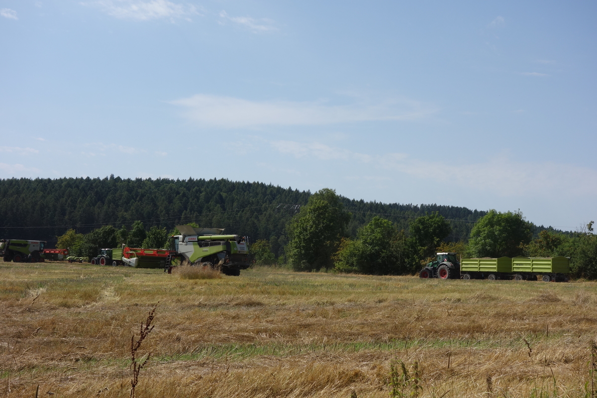 DSC08784.jpg